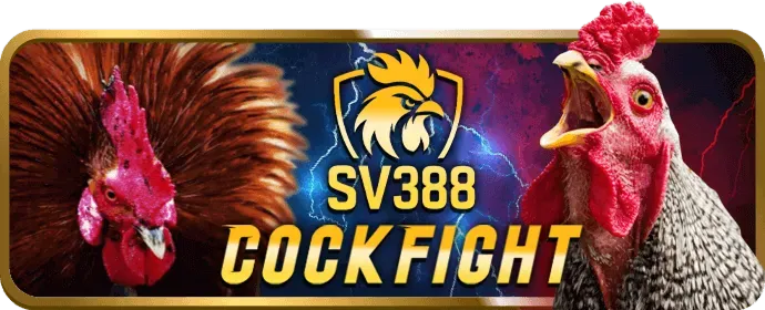 Liên Hệ Hỗ Trợ ACB888 Login